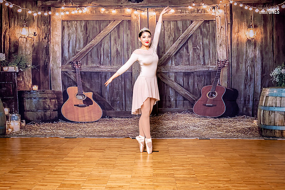 Laveen Dance Recital-491