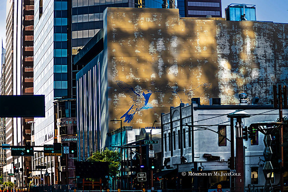 Phoenix Streets 2