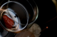 Wine & Berries 5