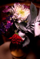 Beauty of Flowers 3