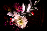 Beauty of Flowers 1