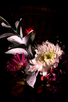 Beauty of Flowers 2