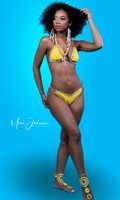 Swimsuit Project